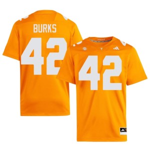 DJ Burks College Football Mens Orange Big Orange Stitched #42 Jersey 437217-211