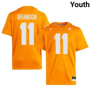 Faizon Brandon College Football NCAA Orange Youth Tenn Vols #11 Jerseys 900236-515