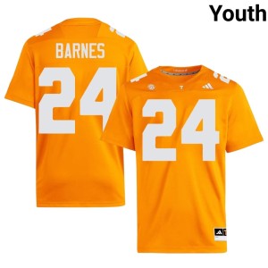 Hunter Barnes College Football #24 Tenn Vols Youth Orange University Jersey 390097-433